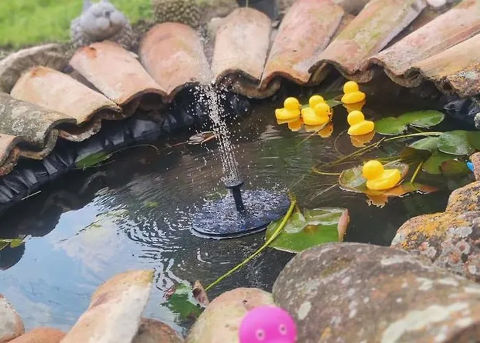 долапите с. градище